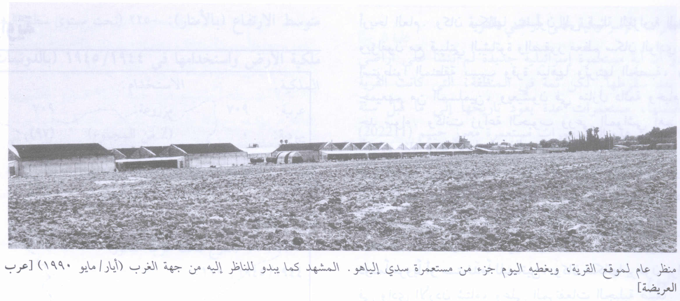 صورة لقرية عرب العريضه - فلسطين: : منظر لموقع القرية التي دمرها الصهاينة وطهروا عرقياً سكانها، اُنقر الصورة لتكبيرها. 1990