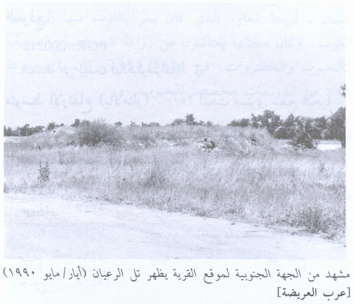صورة لقرية عرب العريضه - فلسطين: : منظر من جنوب القرية نحو تل الريان، اُنقر الصورة لتكبيرها. 1990