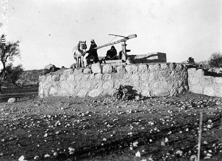 صورة لقرية كفرة - فلسطين: : منظر عام في القرية بالقرب من بئر البلد سنة 1920، منقول من صفخة احمد مروات على الفيس بوك