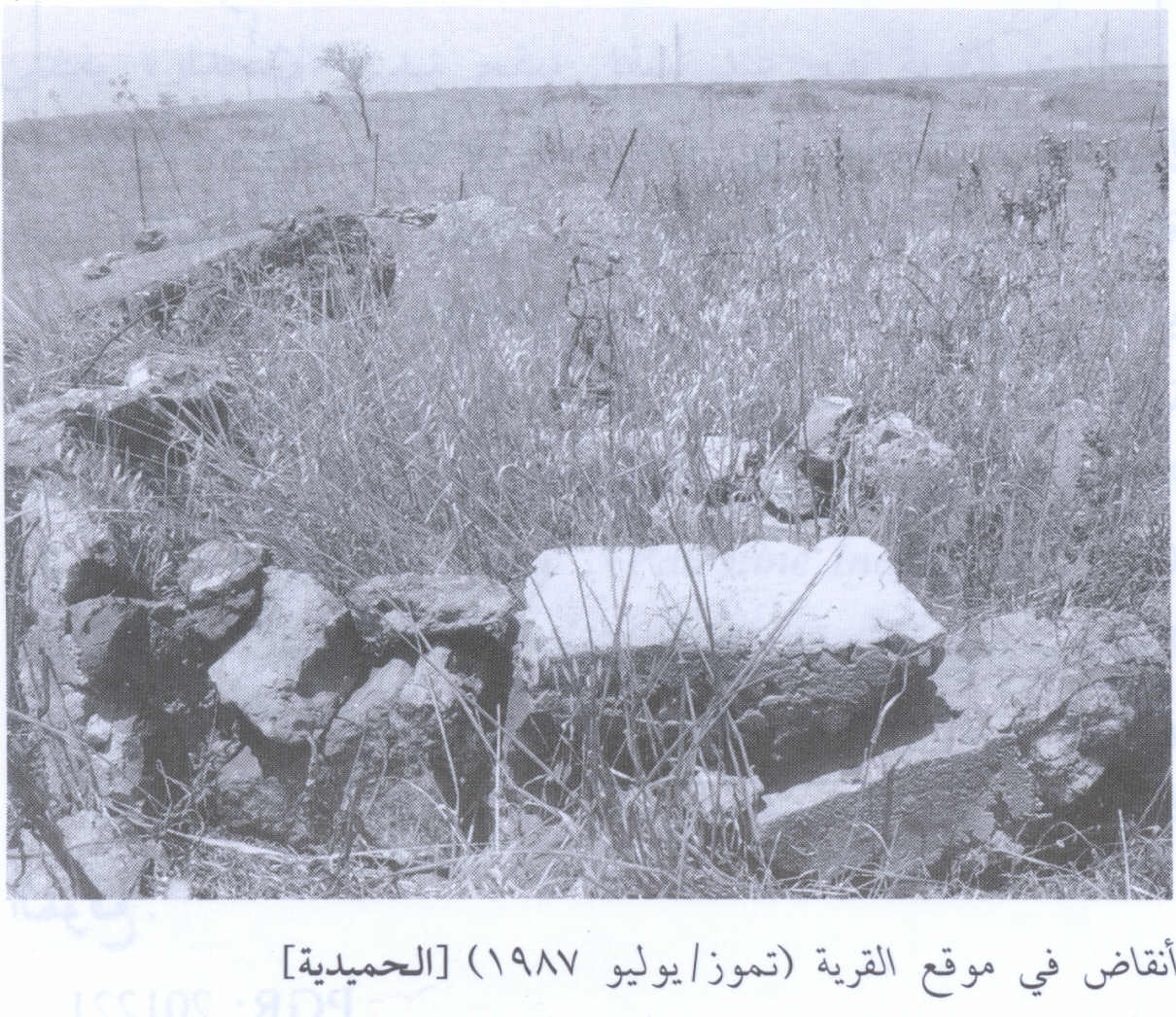 صورة لقرية الحميديه - فلسطين: : منظر لموقع القرية الذي دمرها الصهاينة وطهروا عرقياً سكانها-1987. أطلال القرية المدمرة واضحة