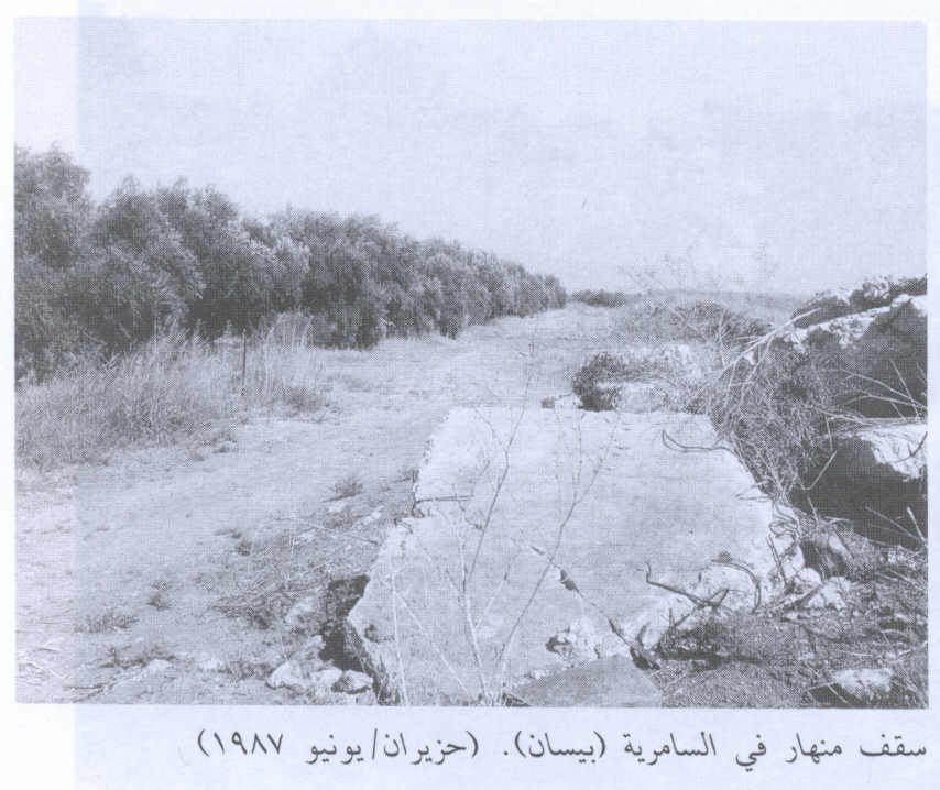 صورة لقرية السامريه - فلسطين: : أنقاض إحدى البيوت المدمرة. 1987