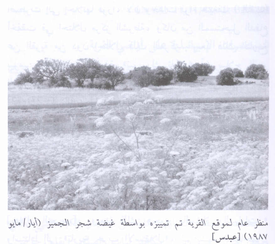 صورة لقرية عبدس - فلسطين: : منظر عام للقرية المدمرة تم تمييزه بواسطة غيطة شجرة الجميز. 1987