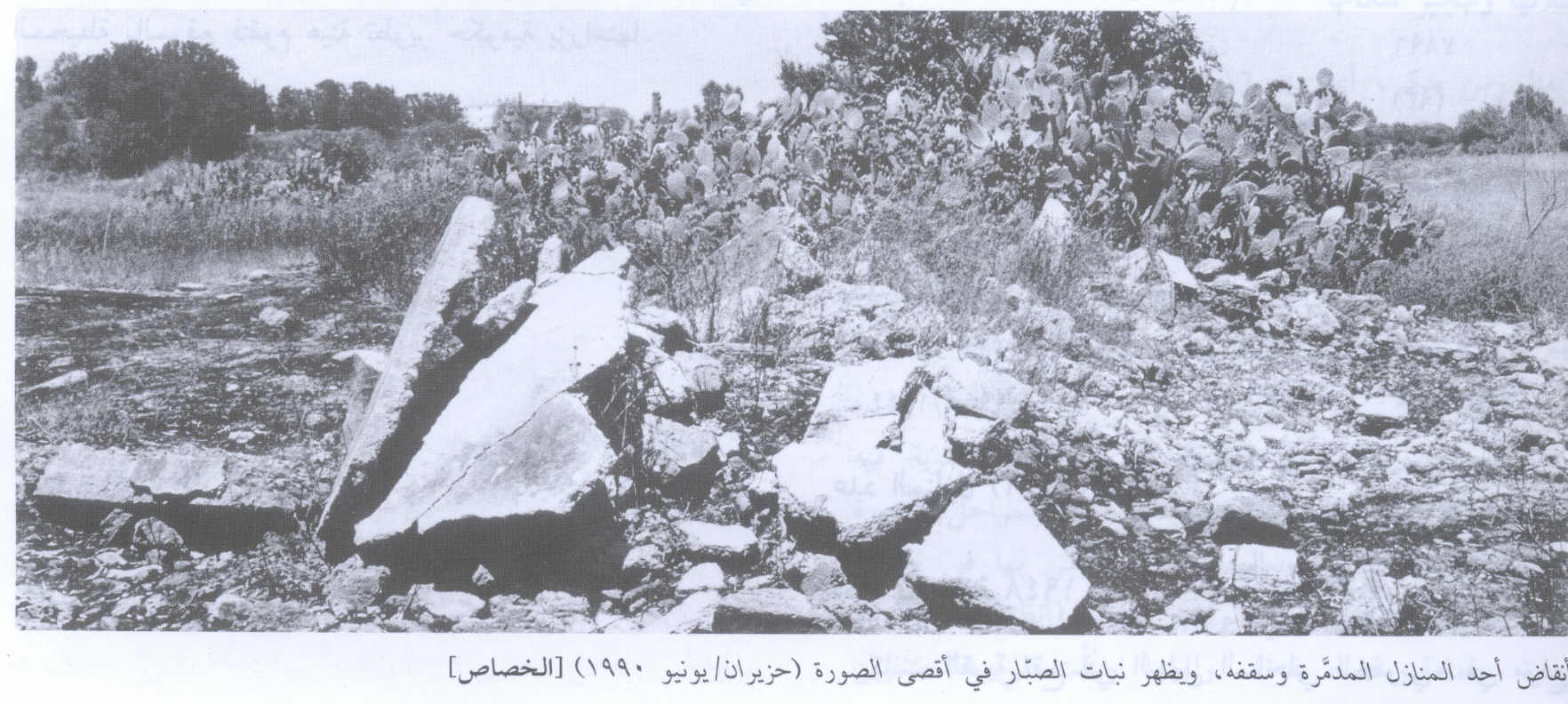 صورة لقرية خربة الخِصاص - فلسطين: : أنقاض إحدى البيوت المدمرة. 1990