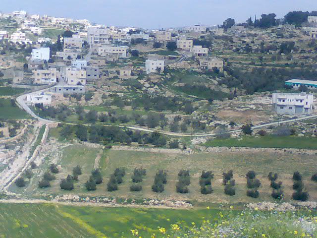صورة لقرية بيت الروش التحتا - فلسطين: : منظر عام لبيت الروش التحتى من الجهه الجنوبيه