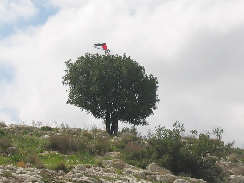 صورة لقرية خربة مسمار - فلسطين: : مسمار