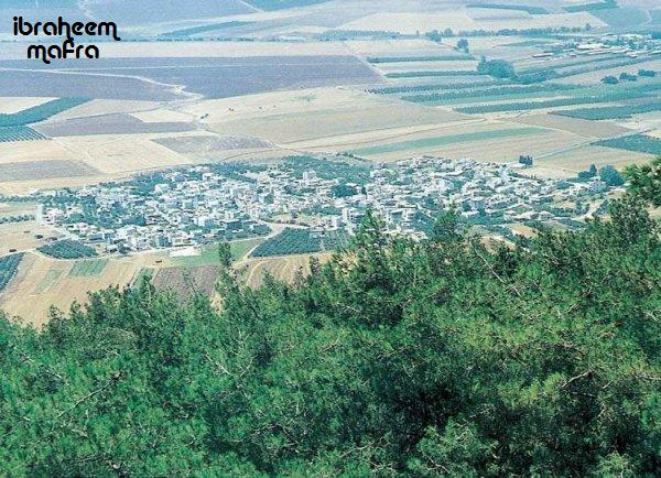 صورة لقرية سولم - فلسطين: : منظر عام
