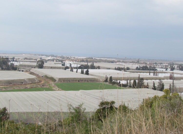 Picture for al-Manara Village - Palestine: : المناره