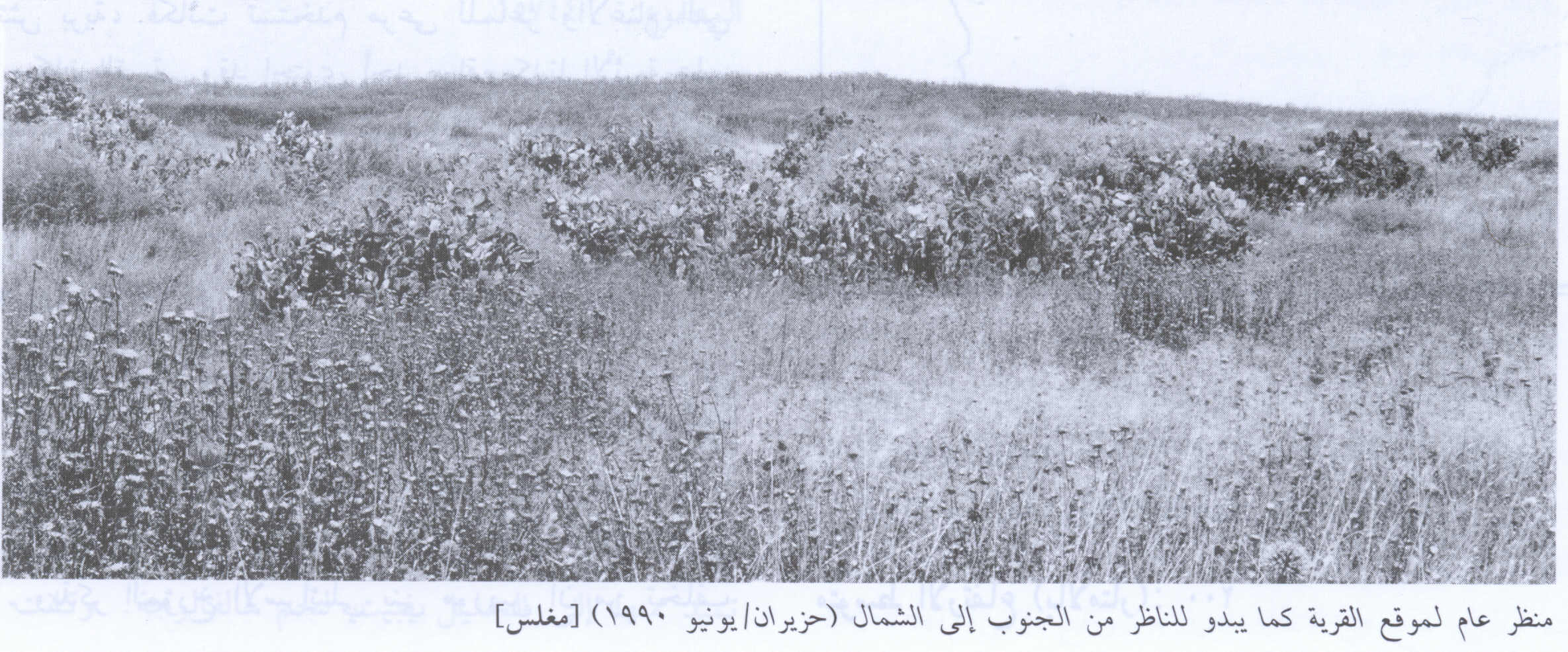 صورة لقرية مغلس - فلسطين: : منظر لموقع القرية من الجهة الجنوبة التي دمرها الصهاينة وطهروا سكانها عرقياً، 1990. أطلال دمار بيوت القرية واضحة.