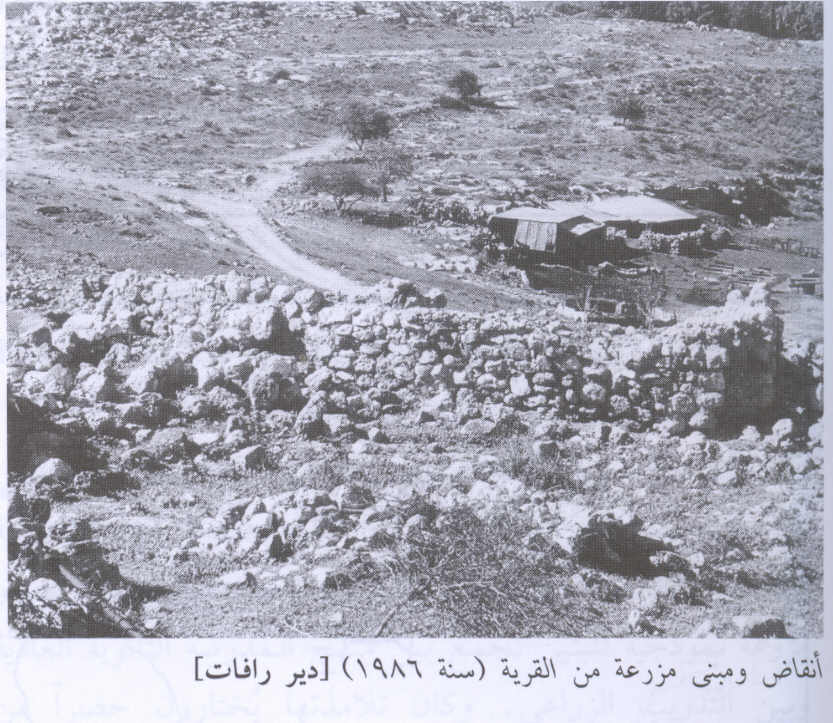 صورة لقرية دير رفات - فلسطين: : منظر لموقع القرية التي دمرها الصهاينة وطهروا سكانها عرقياً. أطلال القرية المدمرة واضحة. 1986