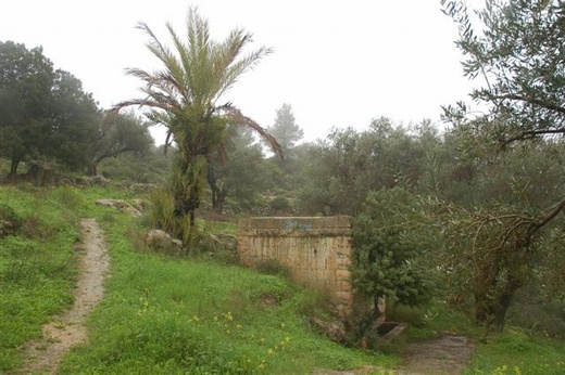 صورة لقرية كسلا - فلسطين: : كسلا الاراضي المحيطة