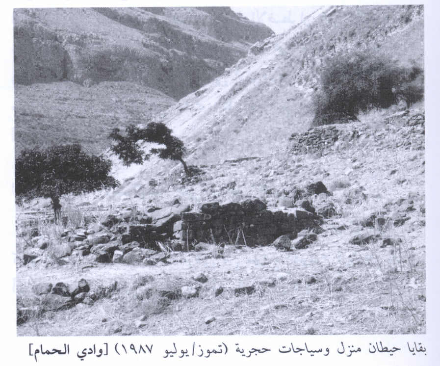 صورة لقرية وادي الحمام - فلسطين: : منظر لموقع القرية التي دمرها الصهاينة وطهروا سكانها عرقياً، اُنقر الصورة لتكبيرها. 1987.