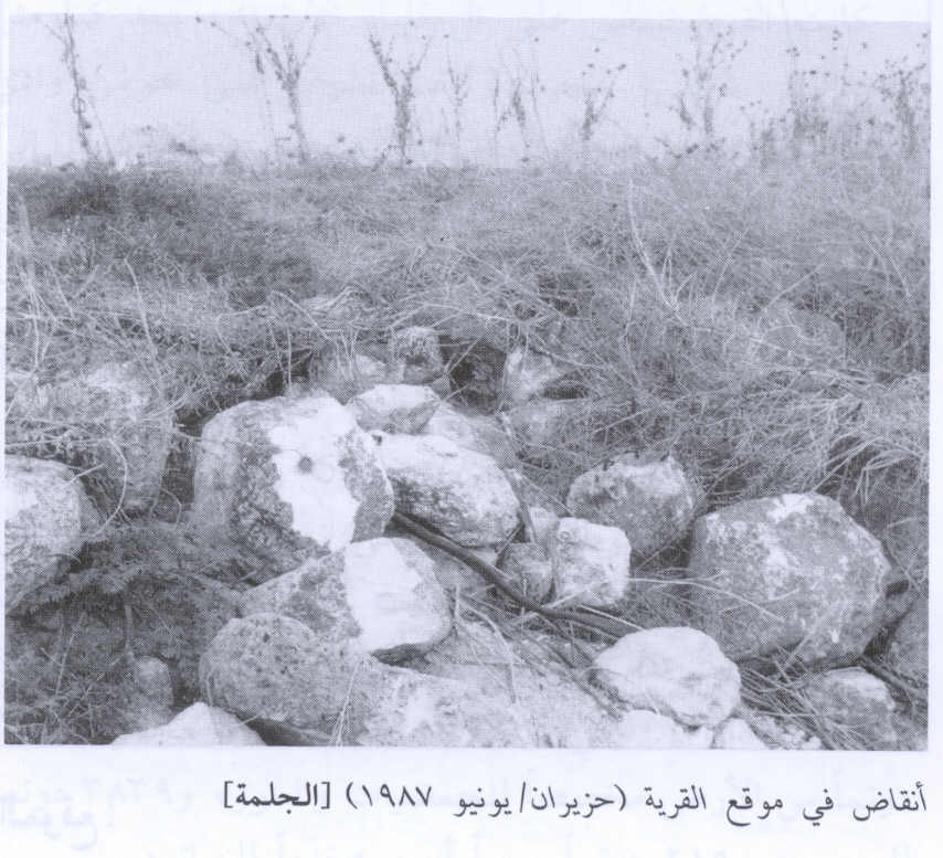 صورة لقرية الجلمة - فلسطين: : أطلال بيوت القرية المدمرة 1987