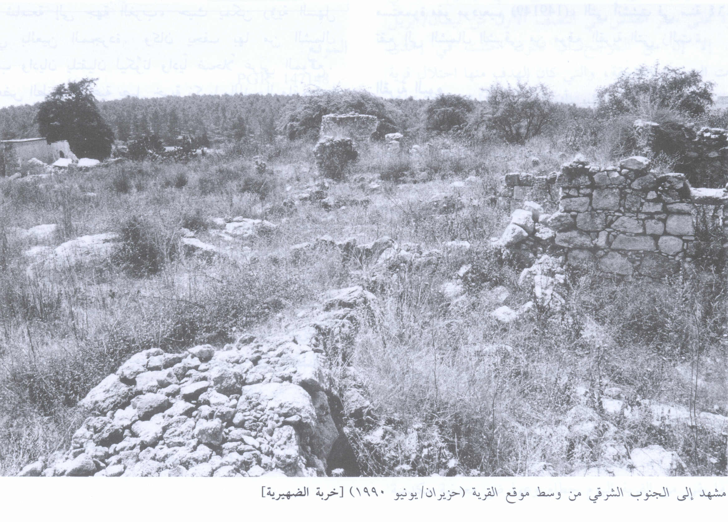 صورة لقرية خربة الضهيرية - فلسطين: : منظر لموقع القرية التي دمرها الصهاينة وطهروا سكانهاعرقيا، اُنقر الصورة لتكبيرها. 1990